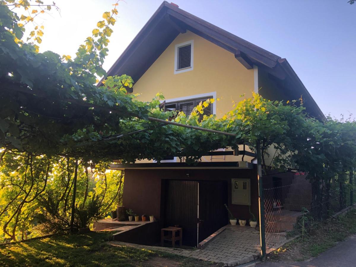 Adorable Guesthouse In The Middle Of Vineyards Ptujska Gora Extérieur photo